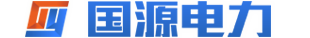 国源电力
